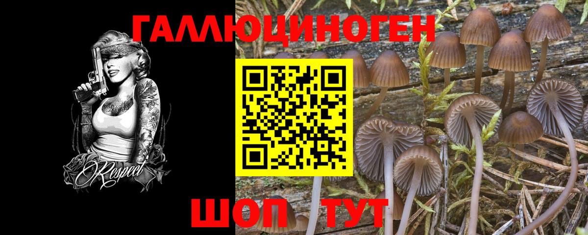 Псилоцибиновые грибы Psilocybine cubensis  Вход с VPN  Волгоград 